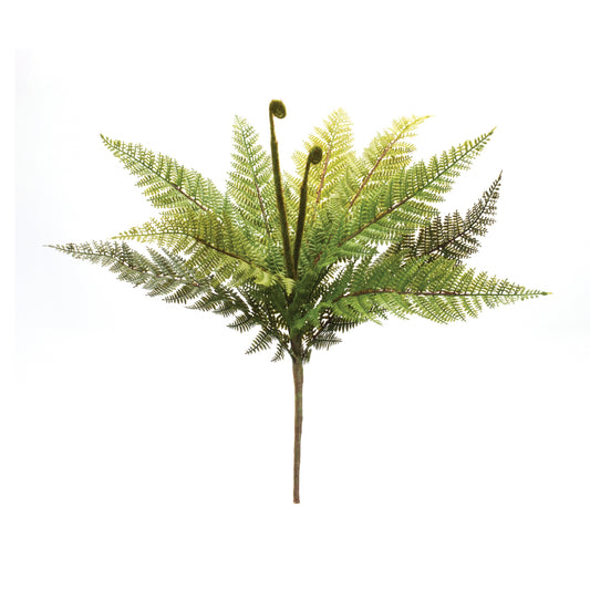 Fern Bush (Set of 12)