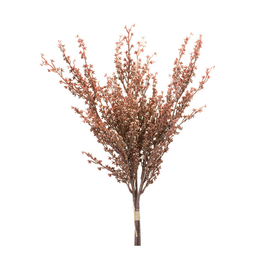 Mini Seed Pod Bundle (Set of 2)