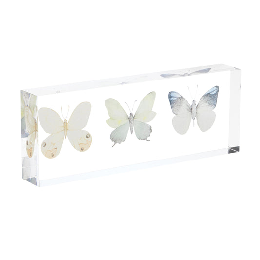 Acyrlic Butterfly Décor (Set of 4)