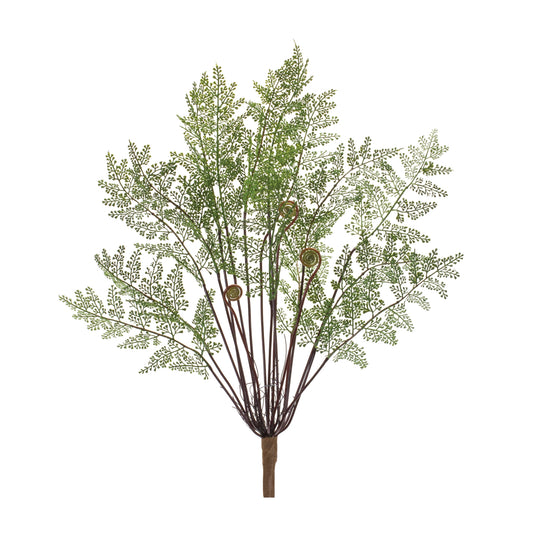 Fern Bush (Set of 2)