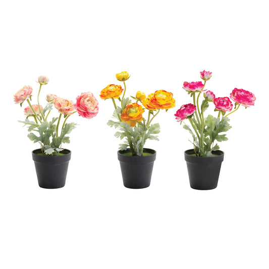 Potted Ranunculus Flower (Set of 3)